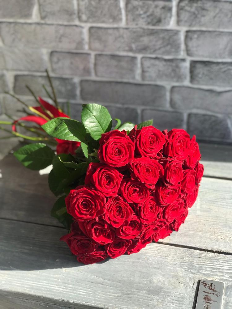 Букет Красные розы Фридом в Полянах Рязанская область