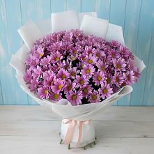 Букет цветов из:  Хризантемы в Полянах Рязанская область