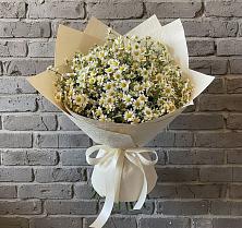 Букет цветов из:  Ромашки в Полянах Рязанская область