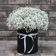 Цветочная композиция из Гипсофила в шляпной коробке в Полянах Рязанская область