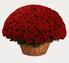 Премиум букет из: Розы в Полянах Рязанская область